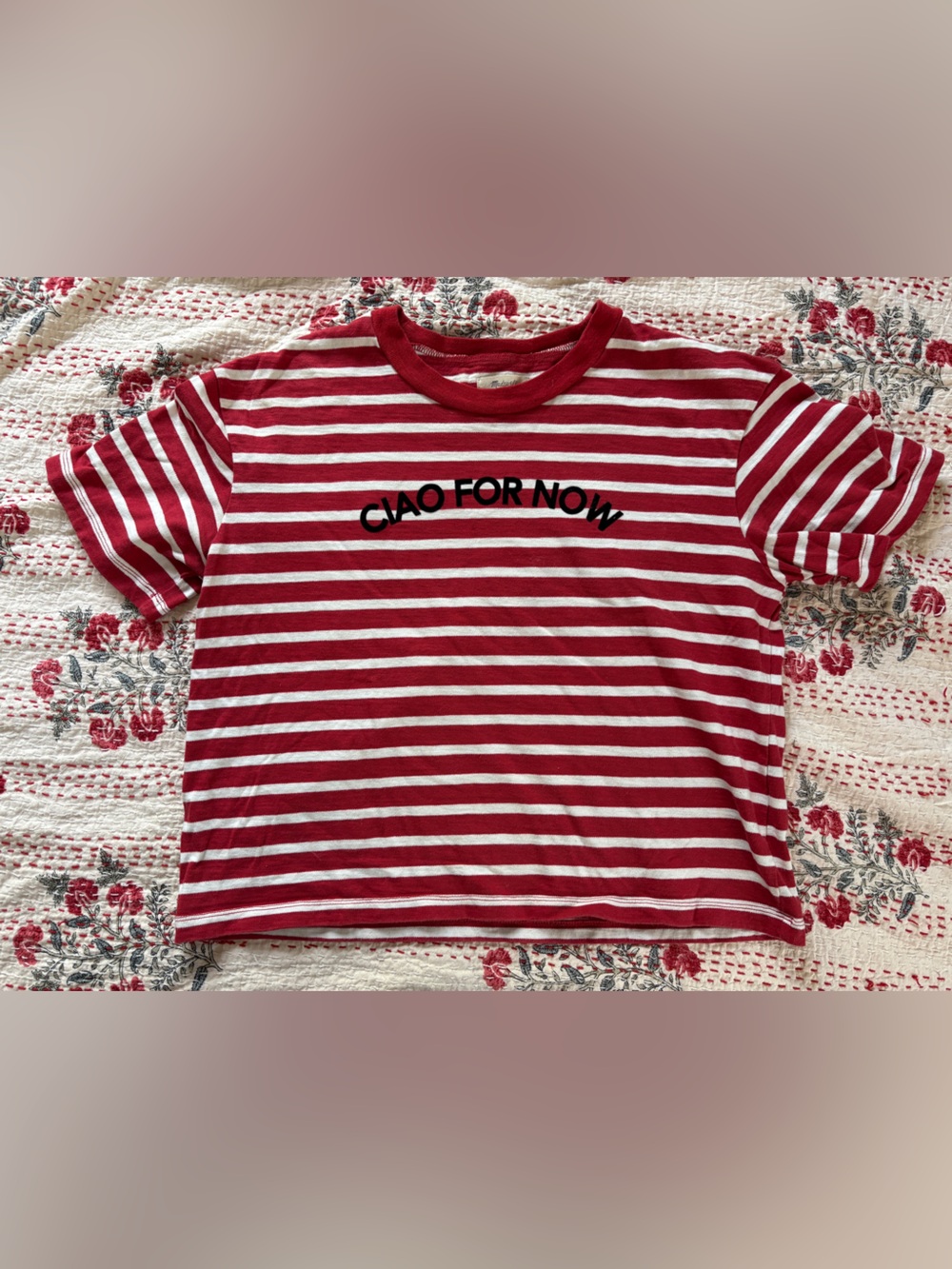 Madewell Red and White Striped Crewneck Tee M
